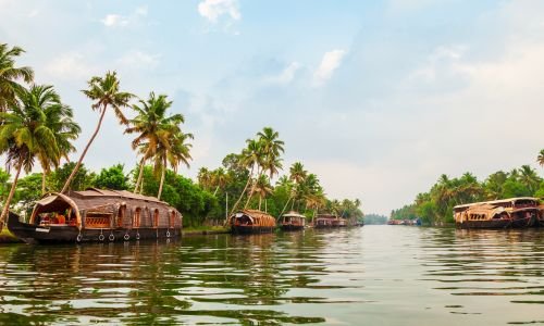 8 Días - Viajes de Kerala