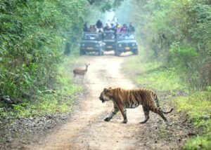 Ranthambore National Park